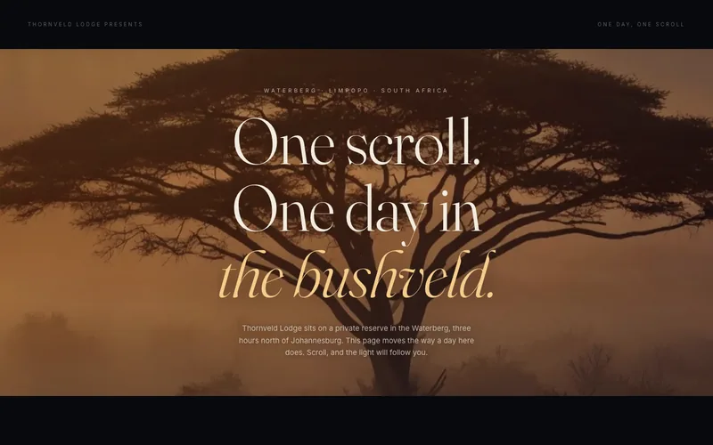 Screenshot of the Thornveld Lodge demonstration website at dawn