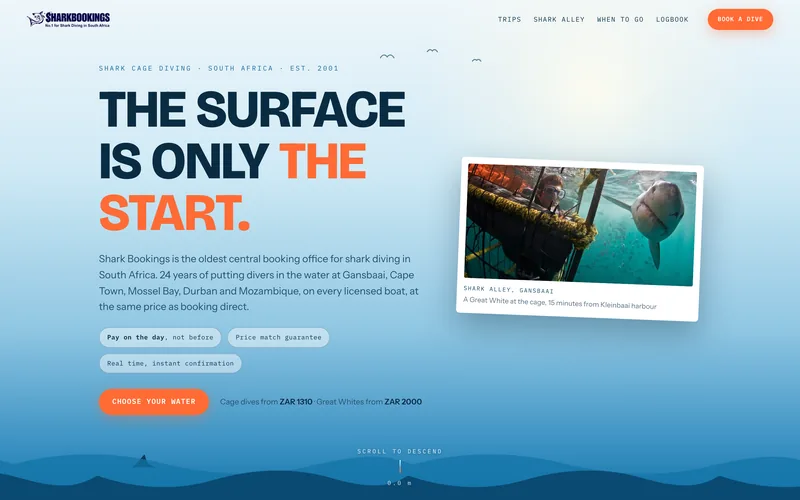Screenshot of the Shark Bookings Descent concept website: a diver descending past the waterline
