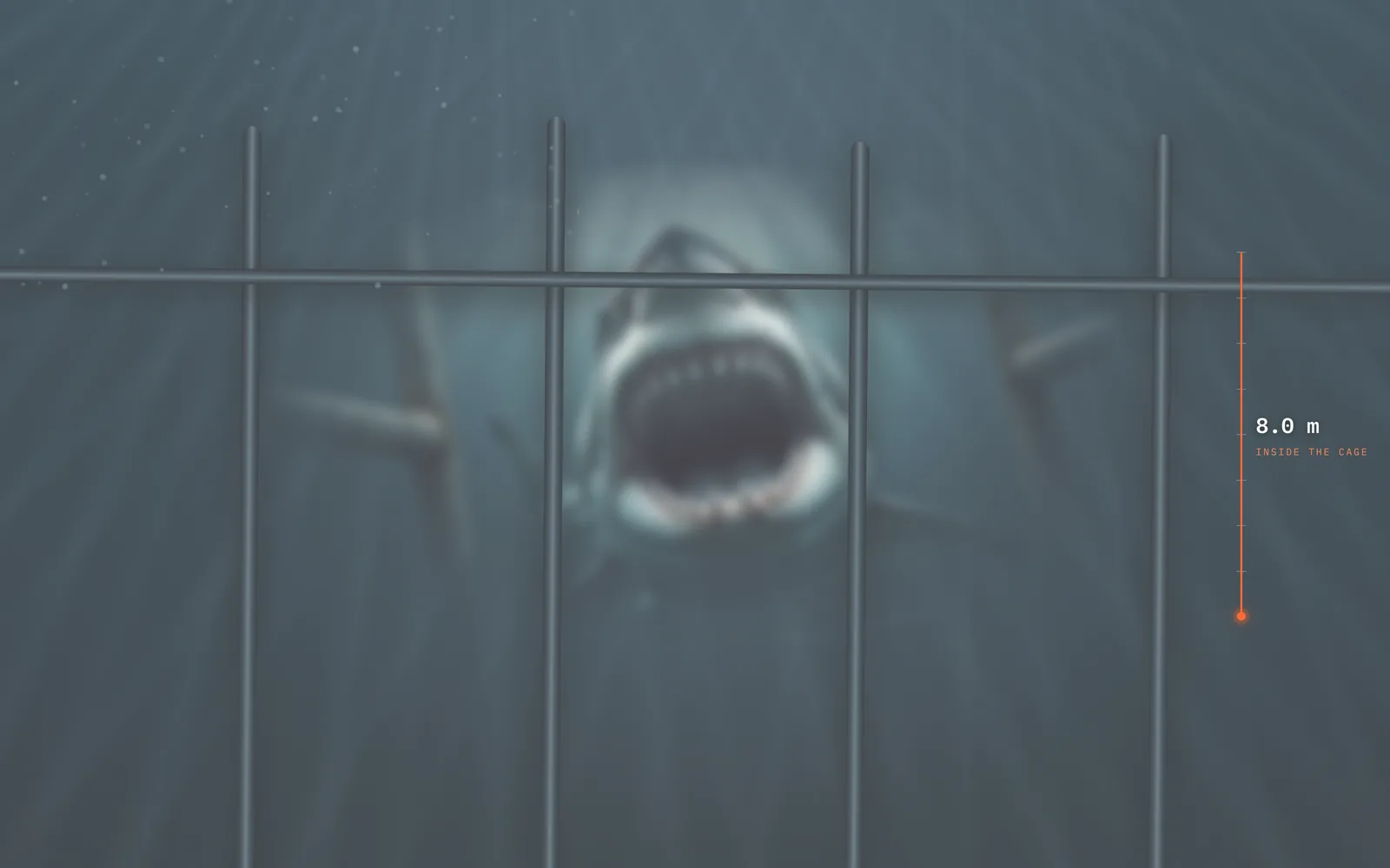 Screenshot of the Shark Bookings concept website: a great white shark lunging out of deep water